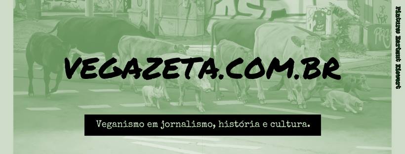 35974536_155482281842833_363313216303923200_n